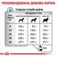 Сухой корм для взрослых собак Royal Canin Anallergenic при пищевой аллергии или пищевой непереносимости некоторых ингредиентов 3 кг - миниатюра 2
