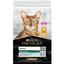 Сухой корм для взрослых кошек Purina Pro Plan Adult 1+ Renal Plus, с курицей, 10 кг (12434282) - миниатюра 1