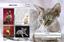 Фотоенциклопедія Кристал Бук Світ навколо нас Кішки (F00021091) - мініатюра 3