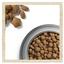 Сухой корм для собак с чувствительным пищеварением Dog Chow Sensitive Adult 1+, с лососем, 14 кг - миниатюра 7