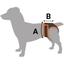 Труси гігієнічні для собак Bronzedog, трикотажні, розмір 2XL, сірі - мініатюра 6