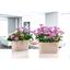 Горщик для квітів Serinova балконний з дренажем Sumela, 4.7 л, зелений (SMLB-Yesil) - мініатюра 3