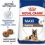 Сухий корм для старіючих собак великих порід Royal Canin Maxi Ageing 8+, 15 кг (2454150) - мініатюра 4