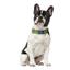 Нашийник для собак Collar Брезент пластиковий фастекс, S 20 мм (28-40) см - мініатюра 3