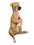 Декоративна фігурка Lefard Собака Посмішка, 11 см (450-583) - мініатюра 1