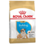 Сухий корм для цуценят породи Бульдог Royal Canin Bulldog Puppy, 12 кг (39671201) - мініатюра 1