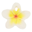 Прорезыватель Oli&Carol Цветочек Гавайи, белый - миниатюра 1