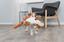 Игрушка для собак Trixie Сурикат, 40 см (35672) - миниатюра 3