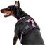 Шлея для собак Waudog Nylon с QR паспортом, безопасная, металлическая пряжка-фастекс, XL, 60-95х2,5 см, розовый - миниатюра 4