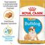 Сухий корм для цуценят породи Бульдог Royal Canin Bulldog Puppy, 12 кг (39671201) - мініатюра 4
