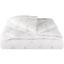 Одеяло ТЕП Dream Collection Cotton 140x210 белое (1-03289_22366) - миниатюра 1