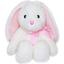 М'яка іграшка Aurora Кролик, 28 см, біла (170962B) - мініатюра 1