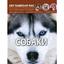 Фотоэнциклопедия Кристал Бук Мир вокруг нас Собаки (F00021089) - миниатюра 1