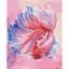 Набор для росписи по номерам Ideyka Рыба петушок 40х50 см и Поле 40х40 см (СKHO1367) - миниатюра 3