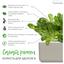 Сменный картридж Click & Grow Smart Garden Салат Ромен, 3 капсулы (8820) - миниатюра 4