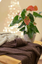 Плед Прованс Soft Косы, 130х90 см, цвет мокко (11692) - миниатюра 3
