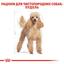 Сухой корм для взрослых собак породы Пудель Royal Canin Poodle Adult, 1,5 кг (3057015) - миниатюра 3