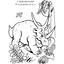 Альбом-розмальовка Богдан Планета динозаврів Частина 1 24 сторінки (978-966-10-2019-0) - миниатюра 5