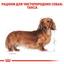 Сухой корм для взрослых собак породы Такса Royal Canin Dachshund Adult, 1,5 кг (3059015) - миниатюра 3