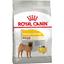 Сухий корм для собак середніх порід із чутливою шкірою Royal Canin Medium Dermacomfort, 10 кг (244210019) - мініатюра 1