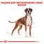 Сухой корм для взрослых собак породы Боксер Royal Canin Boxer Adult, 12 кг (2588120) - миниатюра 3