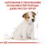 Сухий корм для цуценят породи Джек Рассел Тер'єр Royal Canin Jack Russell Puppy, 0,5 кг (21010051) - мініатюра 2