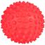 Игрушка для собак Trixie Мяч игольчатый виниловый большой, d 16 см, в ассортименте (3419) - миниатюра 1