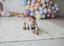 Дитячий двосторонній складаний килимок Poppet Пригоди ведмедиків і Танець панд, 150х180 см (PP003-150) - мініатюра 9