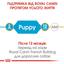 Сухий корм для цуценят породи Французький Бульдог Royal Canin French Bulldog Puppy, 3 кг (3990030) - мініатюра 7