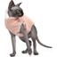 Свитер Pet Fashion Cat S персиковый - миниатюра 2