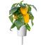 Сменный картридж Click & Grow Smart Garden Желтый сладкий перец, 3 капсулы (8950) - миниатюра 1