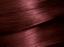 Краска для волос Garnier Color Naturals, тон 4.6 (Дикая вишня), 110 мл (C4432026) - миниатюра 2