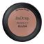 Матові рум`яна IsaDora Perfect Blush 09 Rose Nude 4.5 г (581767) - мініатюра 1