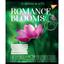 Зошит загальний Yes Romance Blooms, А5, в лінію, 24 аркуша, 20 шт. (766396) - мініатюра 3