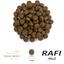 Сухий корм для дорослих собак Dolina Noteci Rafi з ягням та рисом 10 кг - мініатюра 2