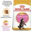 Сухий корм для кошенят до 15 місяців породи мейн-кун Royal Canin Maine Coon Kitten, з куркою, 0,4 кг - мініатюра 3