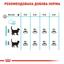 Сухой корм для взрослых кошек с целью профилактики мочекаменной болезни Royal Canin Urinary Care, 0,4 кг (1800004) - миниатюра 4