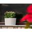 Горщик для квітів Serinova балконний з дренажем Sumela, 4.7 л, антрацитовий (SMLB-Antrasit) - мініатюра 4