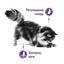 Сухой корм для взрослых стерилизованных котов предрасположенных к набору лишнего веса Royal Canin Appetite Control, 2 кг (25630209) - миниатюра 2
