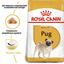 Сухой корм для взрослых собак породы Мопс Royal Canin Pug Adult, 3 кг (3985030) - миниатюра 5