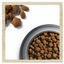Сухой корм для собак с повышенной активностью Dog Chow Active Adult 1+, с курицей, 2,5 кг - миниатюра 7