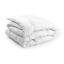 Одеяло силиконовое Руно Warm Silver, евростандарт, 200х220 см, белый (322.52_Warm Silver) - миниатюра 1
