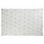 Одеяло из искусственного лебяжьего пуха Руно, полуторный, 205х140 см, белый (321.52_Silver Swan_demi) - миниатюра 2