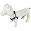 Шлея для собак Lucky Pet Вышиванка голубая капроновая 45-64х2 см - миниатюра 2