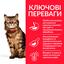 Сухий корм для дорослих котів Hill's Science Plan Adult Sensitive Stomach&Skin, із чутливим травленням та шкірою, з куркою, 300 г (604074) - мініатюра 4