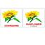 Набір карток Вундеркінд з пелюшок Квіти/Flowers, укр.-англ. мова, 20 шт. - мініатюра 2