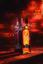 Виски Paul John Brilliance Single Malt Indian Whisky 46% 0.7 л в подарочной упаковке - миниатюра 2