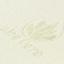 Багаторазова пелюшка Руно Aloe Vera, махра, 60х40 см, салатовий (4060 Aloe Vera) - мініатюра 1