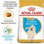 Сухий корм для цуценят породи Золотистий Ретрівер Royal Canin Golden Retriever Puppy, 12 кг (39791201) - мініатюра 4