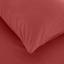 Простыня на резинке с наволочкой Penelope Laura coral, 200х120+70х50 см, хлопок, красный (svt-2000022278126) - миниатюра 2